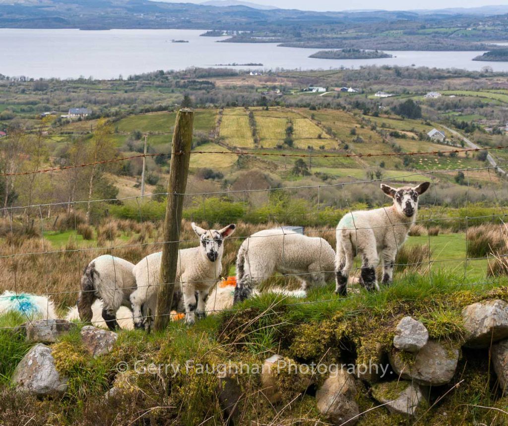 Glangevlin, Co. Cavan Gerry Faughnan Photography